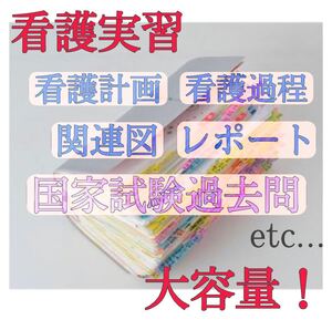 看護実習 看護計画 看護診断 関連図