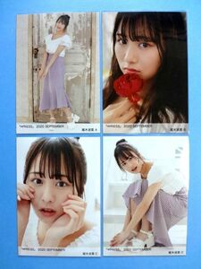 ノイミー ≠ME 尾木波菜 生写真 A B C D 4種 コンプ / ノイプレ ≠PRESS 2020 SEPTEMBER 9月 / 送料250円～