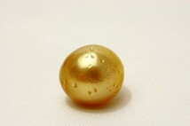 南洋白蝶真珠パールルース　両穴　12mm　ナチュラルゴールドカラー_画像1