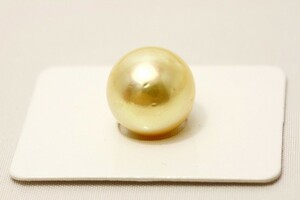南洋白蝶真珠パールルース　13mm　ナチュラルゴールドカラー