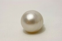南洋白蝶真珠パールルース　20×16mm　ホワイトカラー_画像3