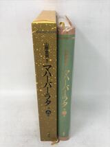 マハーバーラタ2巻 山際素男 三一書房 1992年 初版 N3706_画像10