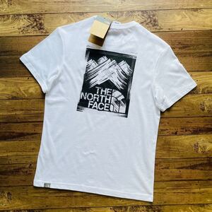 The north face ストローク Tシャツノースフェイス