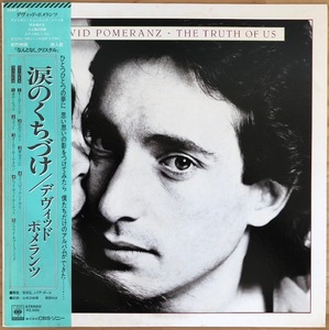 LP■ROCK//AOR/DAVID POMERANZ/THE TRUTH OF US/CBS/SONY 25AP 2027/国内80年ORIG OBI/帯 美盤/デヴィットポメランツ/なんとなくクリスタル