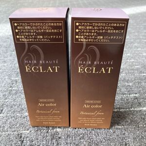 ヘアボーテ エクラ ボタニカルエアカラーフォーム ダークブラウン 80g 白髪用2本
