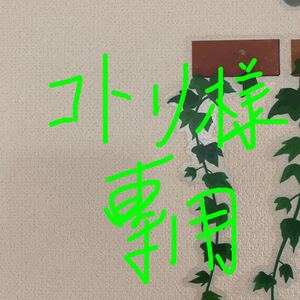 コトリ様 専用 ジャスミン茶2袋