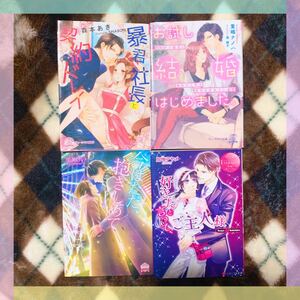 【文庫】レディース文庫 4冊セット