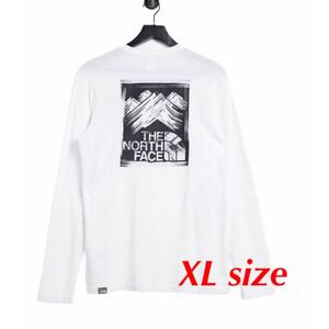 THE NORTH FACE ノースフェイス Tシャツ 長袖 ロンT 海外モデル 新品 正規品 ロングスリーブ