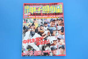 輝け甲子園の星2015年5月号VOL.231/特集:第87回全国高校野球選手権選抜大会優勝敦賀気比初優勝V前31試合完全収録春グラビア保存版選手名鑑