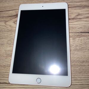 iPad mini 5 64GB ゴールド 付属品、カバー付き Apple Wi-Fiモデル