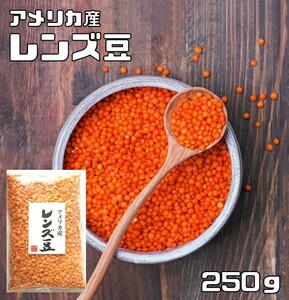 豆力　豆専門店のレンズ豆（赤：皮むき）　250g