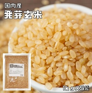 豆力　こだわりの北海道産発芽玄米　5ｋｇ　【無洗米タイプ】