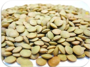 豆力　豆専門店のレンズ豆（皮つき）　10Kg