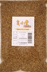 豆力　北海道産　玄小麦（きたほなみ）　1ｋｇ　