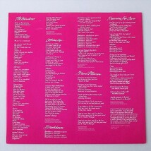 [a48]/ US盤 LP / ドナ・サマー（Donna Summer）/『ワンダラー（The Wanderer）』/ Geffen Records GHS 2000_画像3
