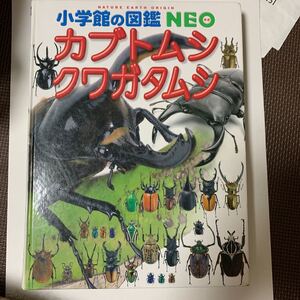 小学館の図鑑NEOカブトムシクワガタムシ