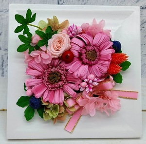 * price cut last 1 piece! preserved flower frame arrange square pink gerbera * rose birthday Mother's Day flower gift .*
