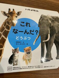 こどもチャレンジ　ベネッセ　これなーんだ？動物　絵本　270