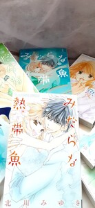 気まぐれセール1999→1700円☆ 全巻 セット みだらな熱帯魚 北川みゆき ☆2口発送に付き手続き前にコメント願います☆