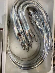 業務用　太刀魚 約４kg （約８尾入） たちうお タチウオ