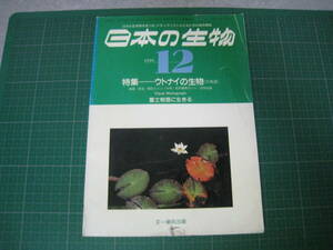 日本の生物　1990年12月号　特集：ウトナイの生物　文一総合出版