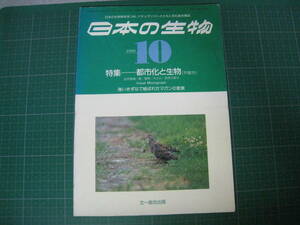 日本の生物　1990年10月号　特集：都市化と生物　文一総合出版
