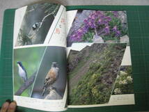 日本の生物　1989年7月号　特集：北岳の生物　文一総合出版_画像5