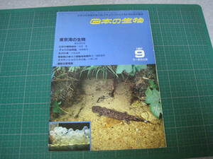 日本の生物　1987年9月号　東京湾の生物　文一総合出版