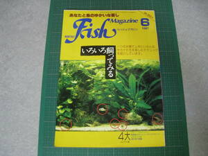 フィッシュマガジン　1987年6月号　特集：いろいろ飼ってみる。　緑書房