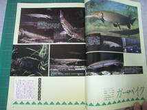 フィッシュマガジン　1987年9月号　特集：古代魚の四天王　緑書房_画像7
