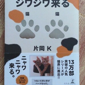 「ジワジワ来る猫猫」片岡 K