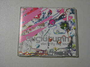 ☆ＣD☆Sugiurumn　曽我部恵一 『electrify my love』