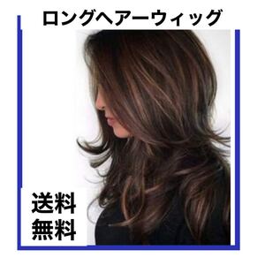 ウィッグ レイヤード メッシュ ハイライト ダークブラウン