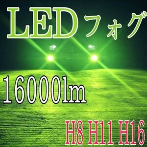 緑 色 H8 H9 H11 H16 LED フォグランプ 16000lm アップル グリーン レモン ライム 12V 24V