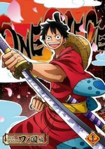 ONE PIECE ワンピース 20thシーズン ワノ国編 R-1 レンタル落ち 中古 DVD