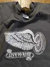 新品 スカル フライト Tシャツ ブルー ラメプリント フリー ライド カリフォルニア ライン SKULL FLIGHT FREE RIDE CARIFOLNIA LINE_画像3