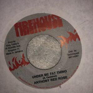 Anthony Red Rose Under Me Fat Thing レゲエ　7インチ