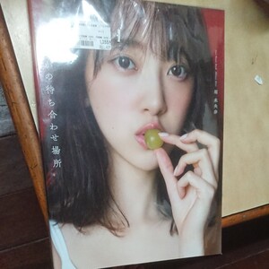 堀未央奈 写真集