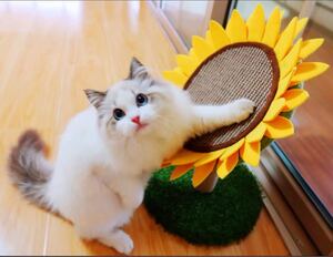 猫用爪とぎ 可愛いひまわりの爪とぎ