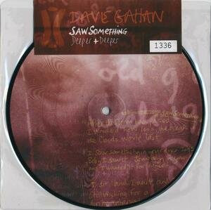 DAVE GAHAN/SAW SOMETHING/EU record / new goods 7 -inch Picture!! commodity control number :00178