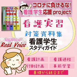 USB版 看護学生向け看護資料 +お役立ち実習課題資料 国家試験対策 Microsoft office用