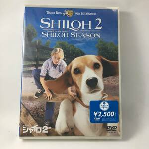 n9　ビーグル犬 シャイロ2 [DVD] 　新品未開封