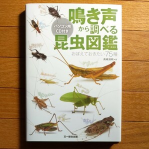 鳴き声から調べる昆虫図鑑　おぼえておきたい75種　高嶋清明/著