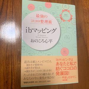 最強のココロ整理術ibマッピング/おのころ心平