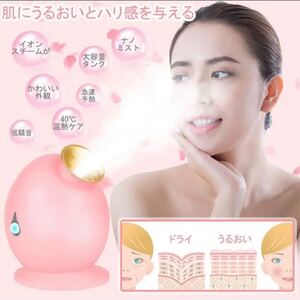 スチーマー美顔器 ナノスチーム美顔器 イオン性ナノスチーマー美顔器 人気 保湿/