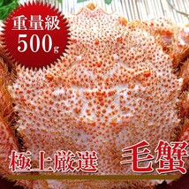 ボイル毛がに500g(北海道産特大毛蟹)このケガニ安いですが訳ありではありません(冷凍毛ガニ)蟹味噌三大蟹の1つのけがに_画像6