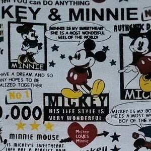 ディズニー ミッキー 輸入生地 帆布