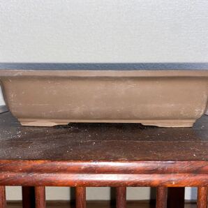 盆栽鉢 長方 鳥泥 小品盆栽 ミニ盆栽 松盆栽 松柏 雑木 多肉植物 山野草 草花 花 園芸 ガーデニング 段足 鉢 植木鉢