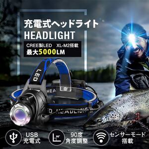 ヘッドライト 充電式 LED ヘッドランプ 釣り 登山 アウトドア キャンプ