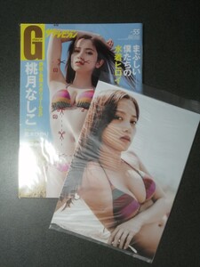 【特典付き】グラビアザテレビジョン vol.55 表紙:桃月なしこ